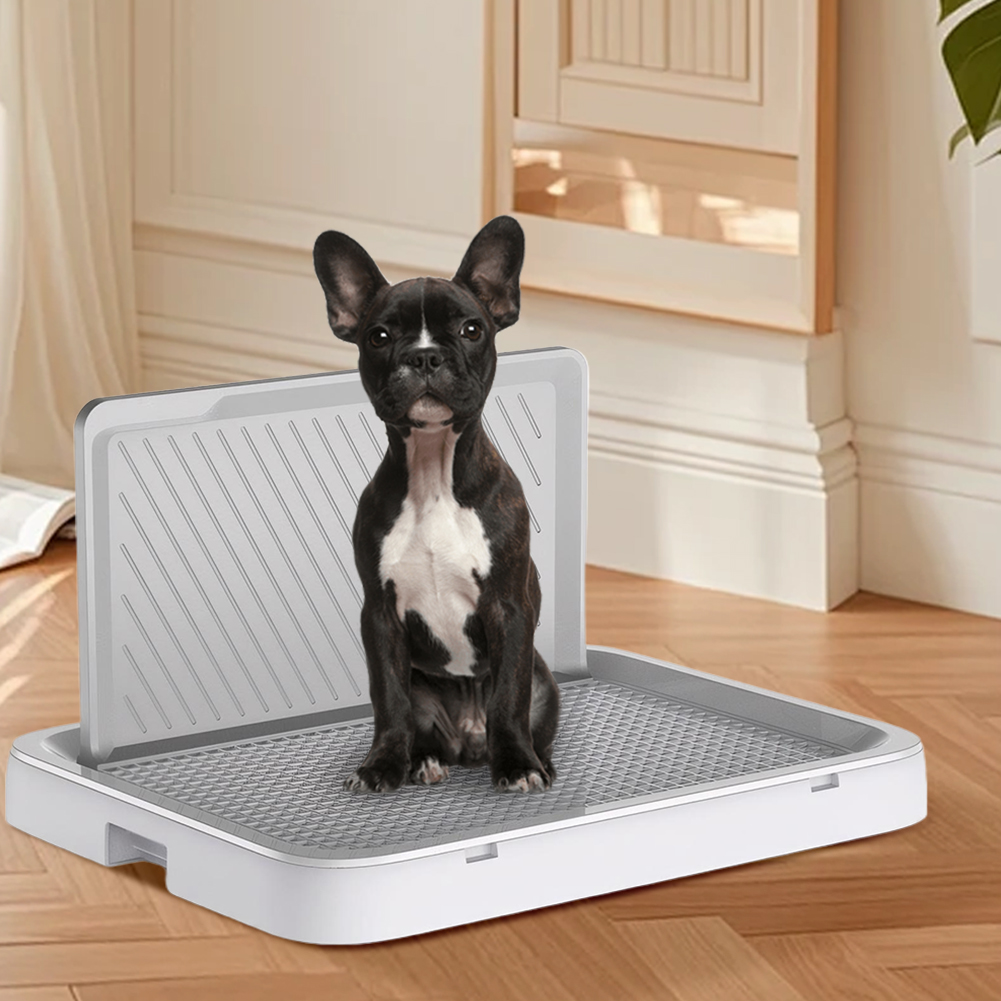 Bac à toilette pour chien avec - Bench Dog Hole avis et prix